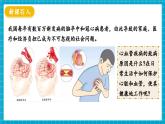 【新教材】冀少版生物七年級下冊3.2.3 心臟和血管的保護 課件