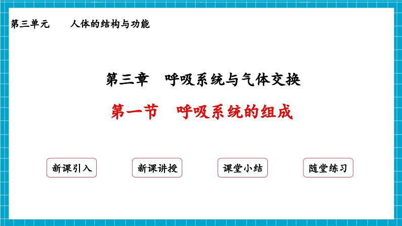 【新教材】冀少版生物七年级下册3.3.1 呼吸系统的组成 课件第2页