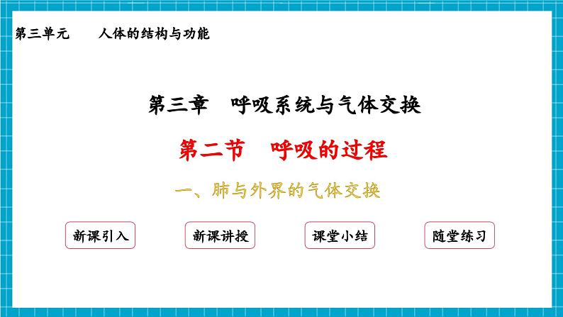 【新教材】冀少版生物七年级下册3.3.2 呼吸的过程(一、肺与外界的气体交换) 课件第2页