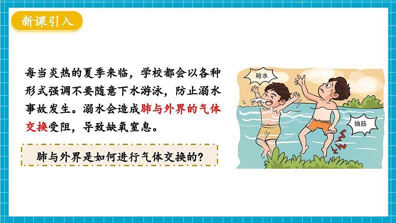 【新教材】冀少版生物七年级下册3.3.2 呼吸的过程(一、肺与外界的气体交换) 课件第3页