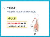 【新教材】冀少版生物七年级下册3.3.2 呼吸的过程(一、肺与外界的气体交换) 课件