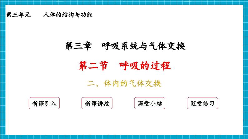 【新教材】冀少版生物七年级下册3.3.2 呼吸的过程(二、体内的气体交换) 课件第2页