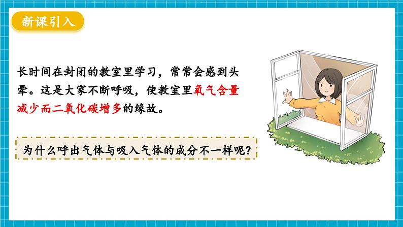 【新教材】冀少版生物七年级下册3.3.2 呼吸的过程(二、体内的气体交换) 课件第3页