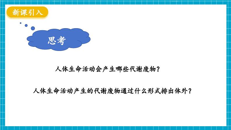 【新教材】冀少版生物七年级下册3.4.1 泌尿系统的组成 课件第4页