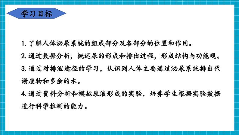 【新教材】冀少版生物七年级下册3.4.2 尿液的形成和排出 课件第3页