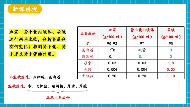 【新教材】冀少版生物七年级下册3.4.2 尿液的形成和排出 课件第5页