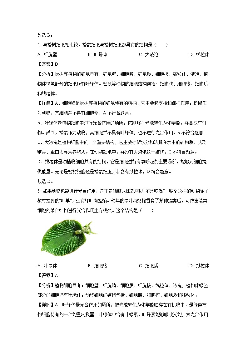2024-2025学年黑龙江省哈尔滨市巴彦县七年级上学期期末生物试卷（解析版）第3页