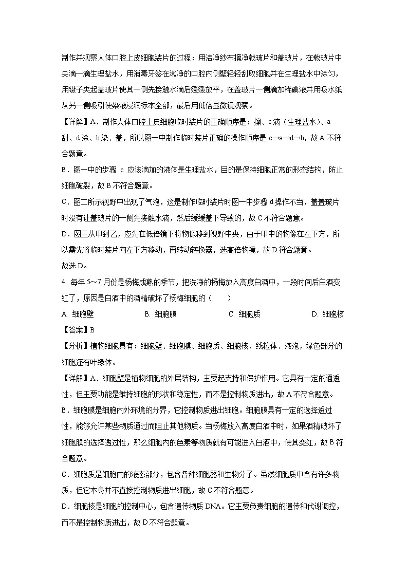 2024-2025学年湖南省岳阳市七年级上学期期末生物试卷（解析版）第3页