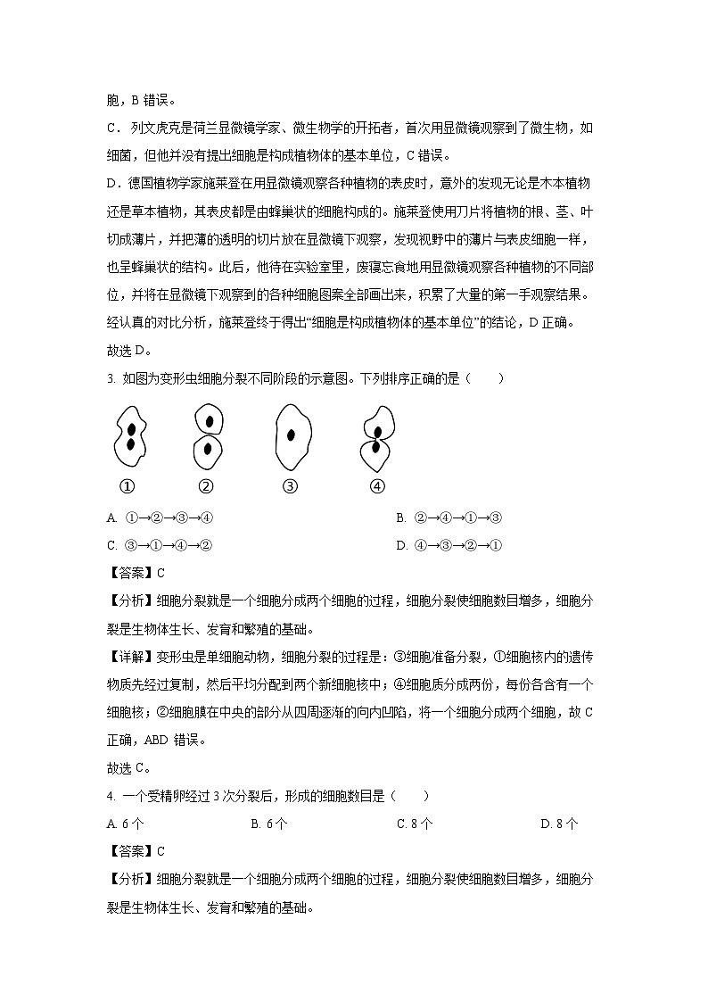 2024-2025学年辽宁省鞍山市铁东区七年级上12月月考生物试卷（解析版）第2页