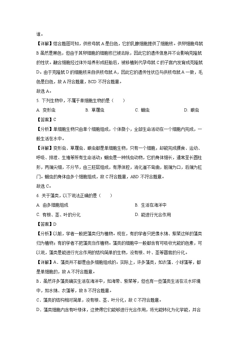 2024-2025学年辽宁省铁岭市七年级上学期期末生物试卷（解析版）第3页