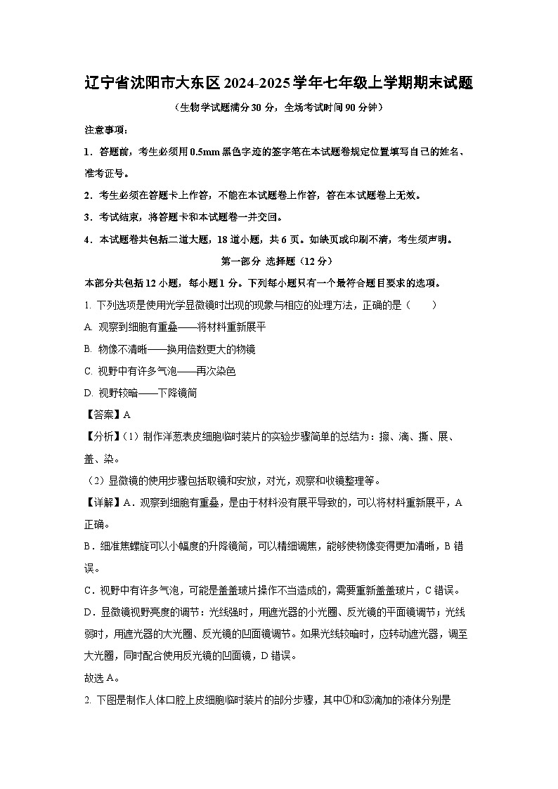 2024-2025学年辽宁省沈阳市大东区七年级上学期期末生物试卷（解析版）第1页