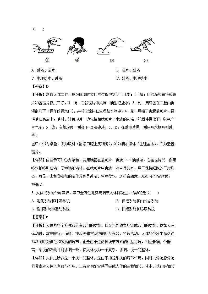 2024-2025学年辽宁省沈阳市大东区七年级上学期期末生物试卷（解析版）第2页