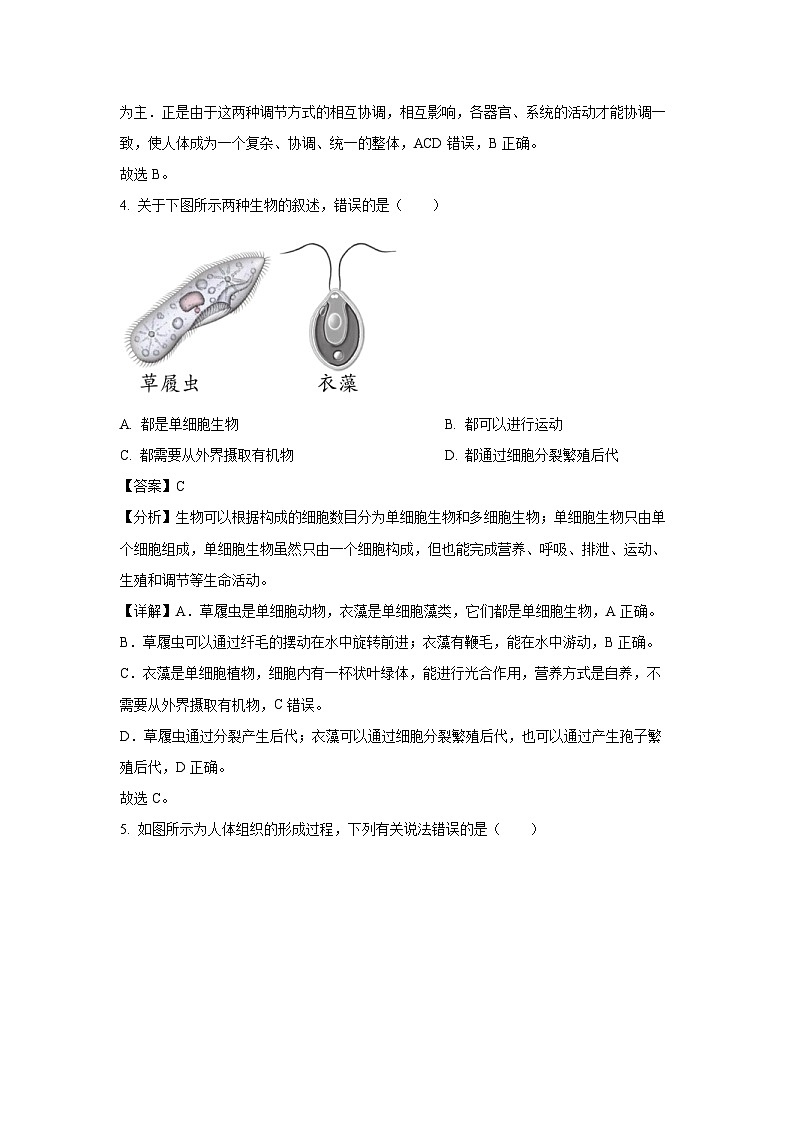 2024-2025学年辽宁省沈阳市大东区七年级上学期期末生物试卷（解析版）第3页
