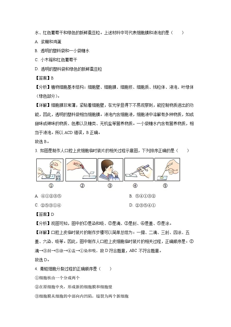 2024-2025学年辽宁省沈阳市于洪区七年级上学期期末生物试卷（解析版）第2页
