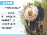 人教版（2024）七年级生物下册课件 第三单元 第一章 第一节种子的萌发
