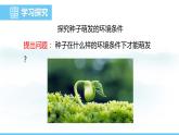 人教版（2024）七年级生物下册课件 第三单元 第一章 第一节种子的萌发