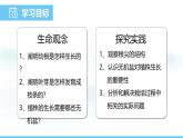 人教版（2024）七年级生物下册课件 第三单元 第一章 第二节植株的生长