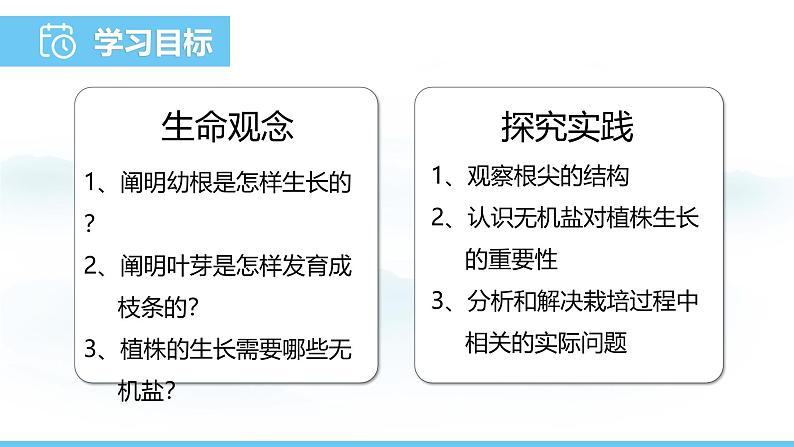 人教版（2024）七年级生物下册课件 第三单元 第一章 第二节植株的生长第2页