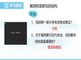 人教版（2024）七年級生物下冊課件 第三單元 第一章 第三節(jié)開花和結(jié)果