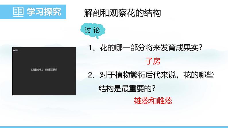 人教版（2024）七年级生物下册课件 第三单元 第一章 第三节开花和结果第5页