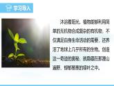 人教版（2024）七年級生物下冊課件 第三單元 第二章 第二節(jié) 第一課時 光合作用的相關(guān)實驗