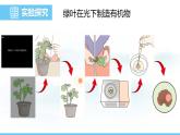 人教版（2024）七年級生物下冊課件 第三單元 第二章 第二節(jié) 第一課時 光合作用的相關(guān)實驗