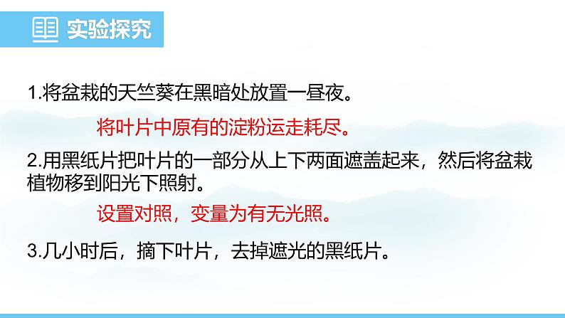 人教版（2024）七年级生物下册课件 第三单元 第二章 第二节 第一课时 光合作用的相关实验第5页