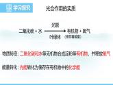人教版（2024）七年級生物下冊課件 第三單元 第二章 第二節(jié) 第二課時 光合作用的實質(zhì)及應(yīng)用