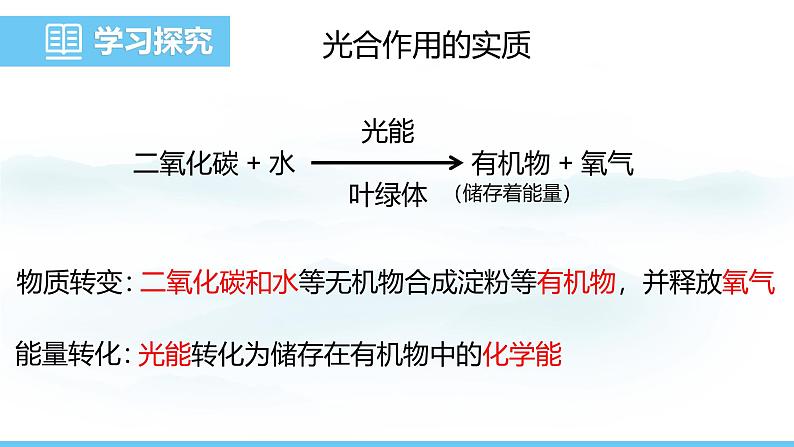 人教版（2024）七年级生物下册课件 第三单元 第二章 第二节 第二课时 光合作用的实质及应用第4页