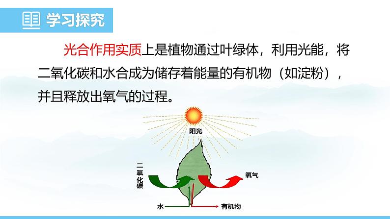 人教版（2024）七年级生物下册课件 第三单元 第二章 第二节 第二课时 光合作用的实质及应用第5页