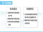 人教版（2024）七年級生物下冊課件 第三單元 第二章 第三節(jié) 呼吸作用