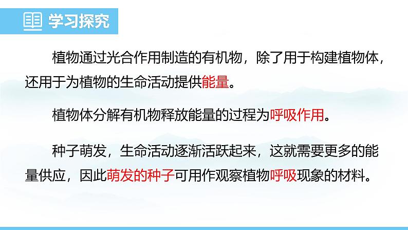 人教版（2024）七年级生物下册课件 第三单元 第二章 第三节 呼吸作用第4页