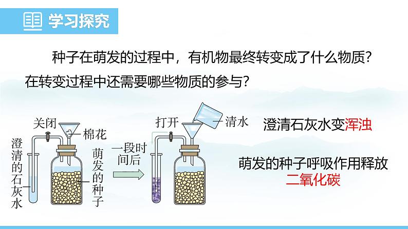 人教版（2024）七年级生物下册课件 第三单元 第二章 第三节 呼吸作用第6页