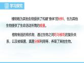 人教版（2024）七年級生物下冊課件 第三單元 第二章 第四節(jié) 植物在自然界中的作用