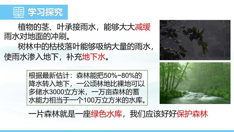 人教版（2024）七年级生物下册课件 第三单元 第二章 第四节 植物在自然界中的作用第7页