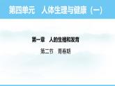 人教版（2024）七年級生物下冊課件 第四單元 第一章 第二節(jié) 青春期