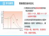 人教版（2024）七年級生物下冊課件 第四單元 第一章 第二節(jié) 青春期