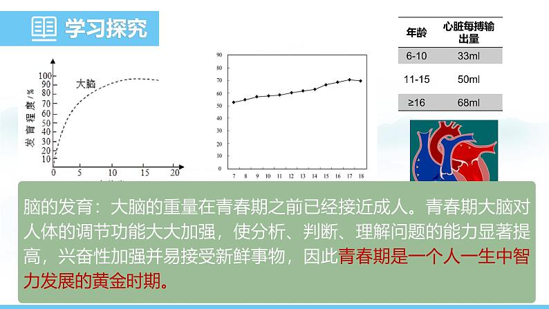 人教版（2024）七年级生物下册课件 第四单元 第一章 第二节 青春期第7页