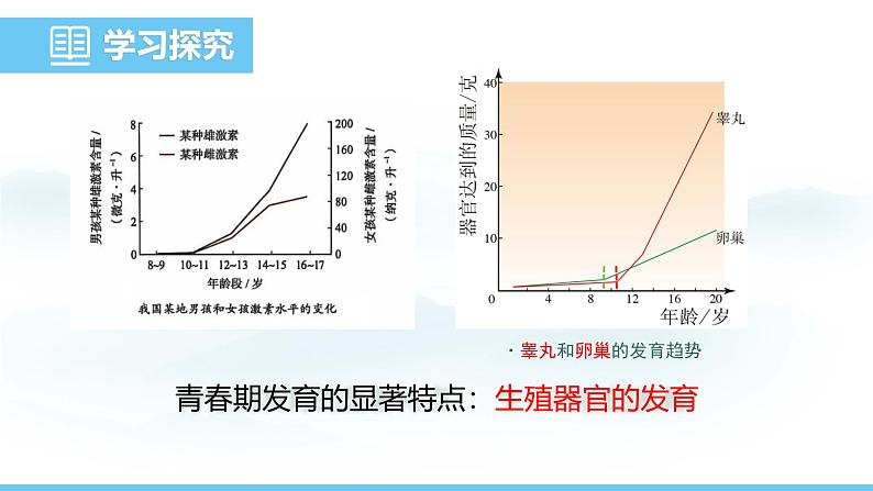 人教版（2024）七年级生物下册课件 第四单元 第一章 第二节 青春期第8页