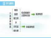 人教版（2024）七年级生物下册课件 第四单元 第二章 第一节 食物中的营养物质