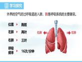 人教版（2024）七年级生物下册课件 第四单元 第三章 第二节发生在肺内的气体交换