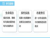 人教版（2024）七年级生物下册课件 第四单元 第四章 第二节血流的管道——血管