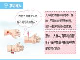 人教版（2024）七年级生物下册课件 第四单元 第四章 第二节血流的管道——血管