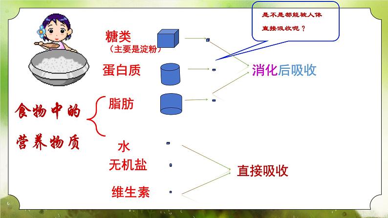 【核心素养】人教版初中生物七年级下册4.2.2《消化和吸收》课件第6页