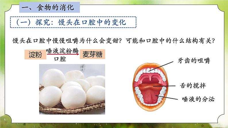 【核心素养】人教版初中生物七年级下册4.2.2《消化和吸收》课件第8页