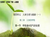 【核心素養(yǎng)】人教版初中生物七年級(jí)下冊(cè)4.3.1《呼吸道對(duì)空氣的處理》課件＋教案(含教學(xué)反思)+課時(shí)練習(xí)+學(xué)案