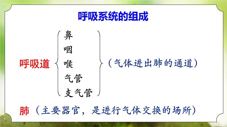 【核心素养】人教版初中生物七年级下册4.3.1《呼吸道对空气的处理》课件第8页