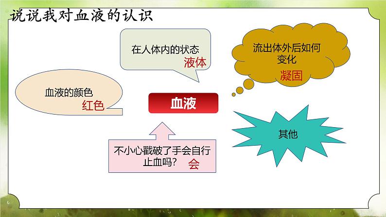 【核心素养】人教版初中生物七年级下册4.4.1《流动的组织-血液》课件第6页