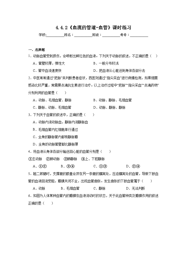 4.4.2《血流的管道-血管》课时练习第1页