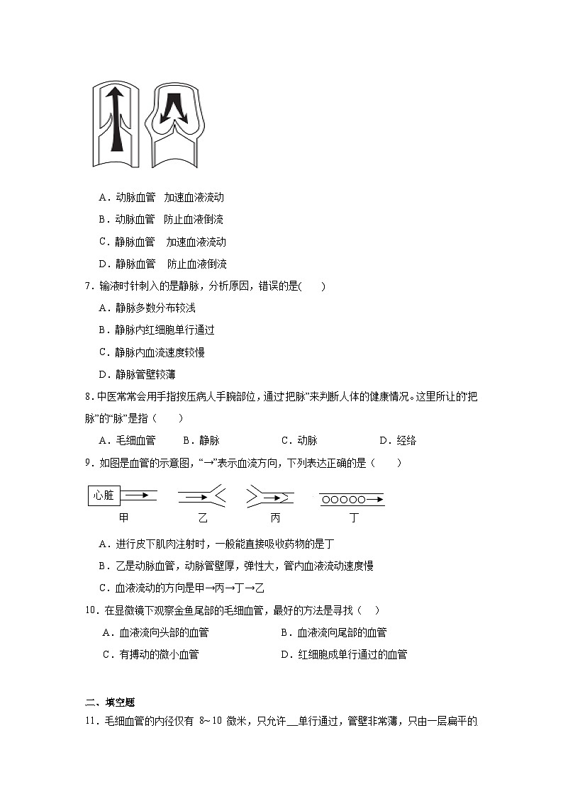 4.4.2《血流的管道-血管》课时练习第2页